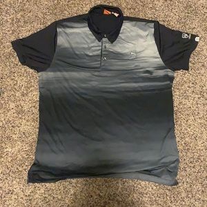 Puma polo